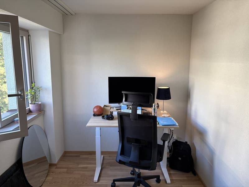 Freshly Renovated & Fully Furnished 4.5-Room Apartment with Lake View Wädenswil (ZH 8820) (13)