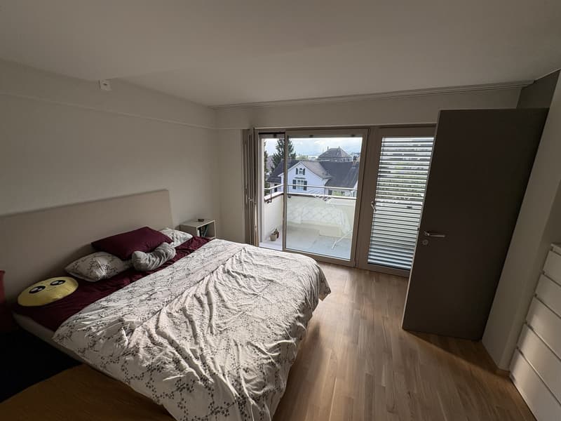 Freshly Renovated & Fully Furnished 4.5-Room Apartment with Lake View Wädenswil (ZH 8820) (5)