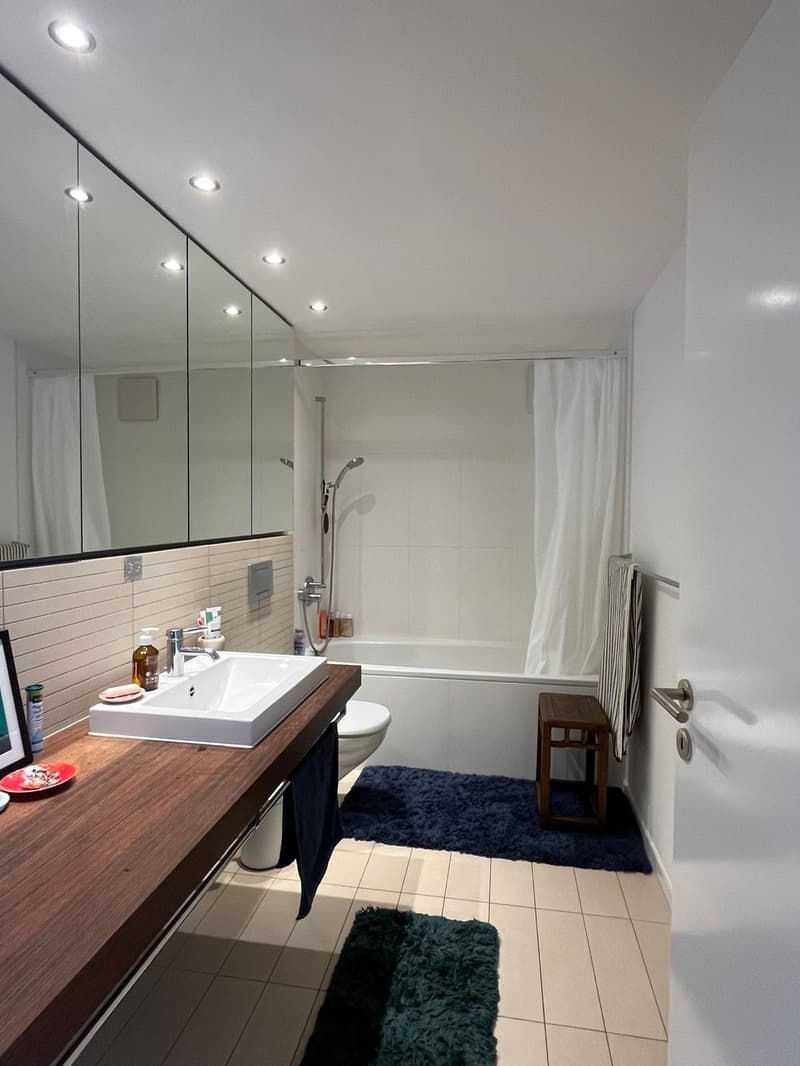 Fully Furnished 60sqm Apartment in Luzern Temporary Sublet (4)