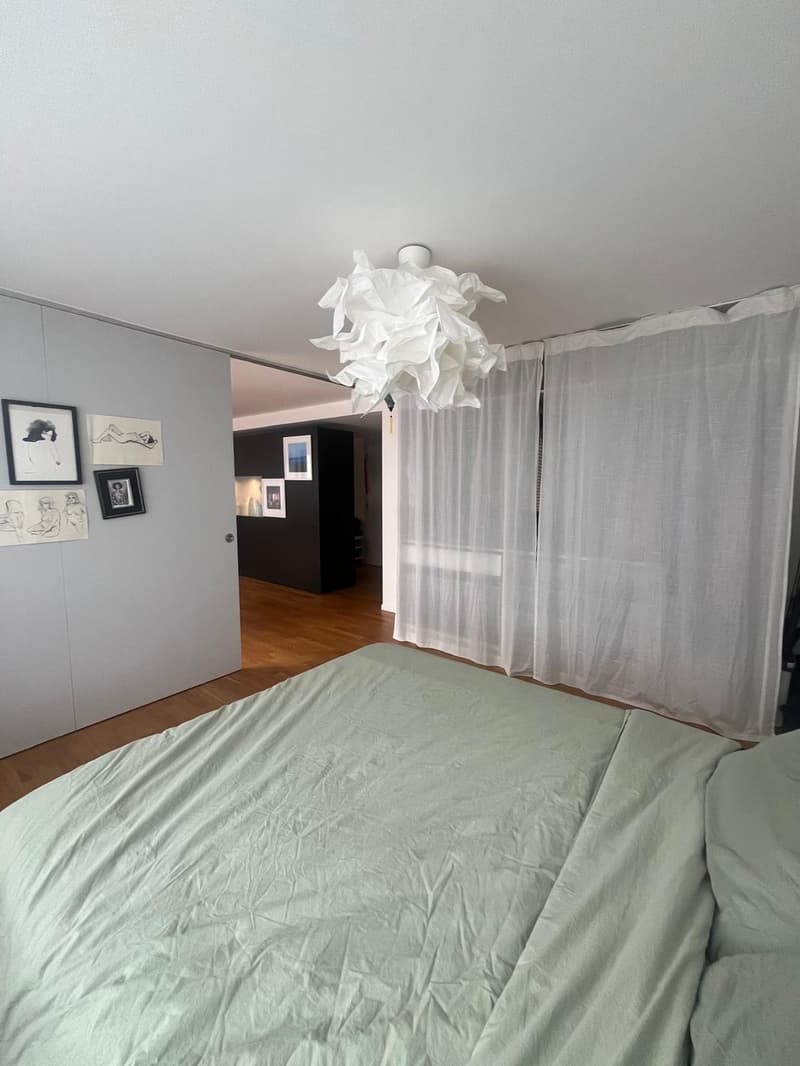 Fully Furnished 60sqm Apartment in Luzern Temporary Sublet (3)