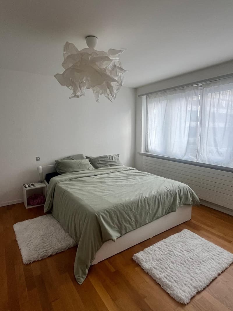 Fully Furnished 60sqm Apartment in Luzern Temporary Sublet (5)