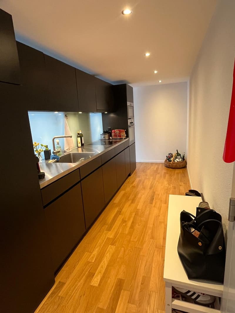 Fully Furnished 60sqm Apartment in Luzern Temporary Sublet (6)