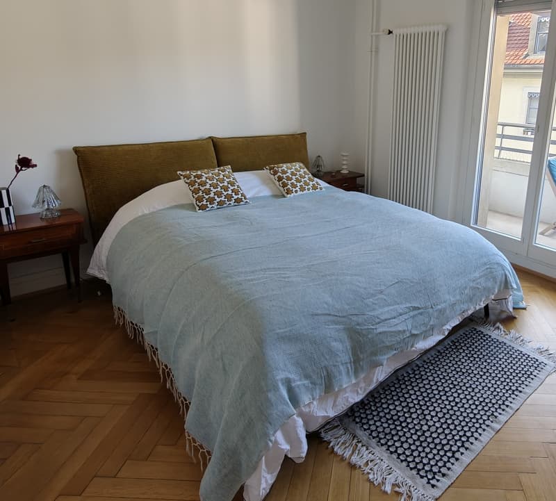 Appartement 5 pièces, 1204 Genève (3)