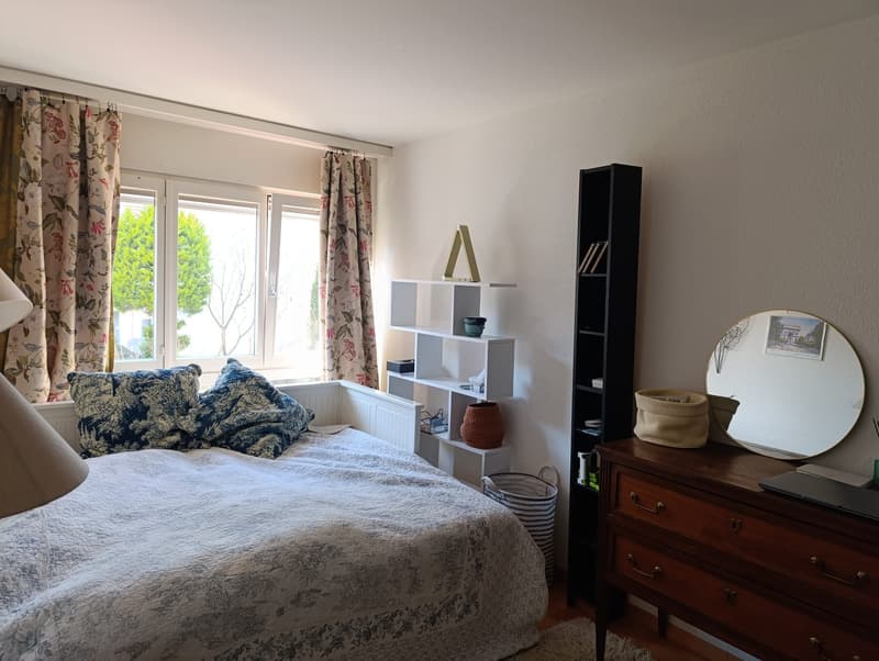 Charming, Bright, Spacious Furnished Room to Rent, Oerlikon/Irschel/Milchbuck (3)