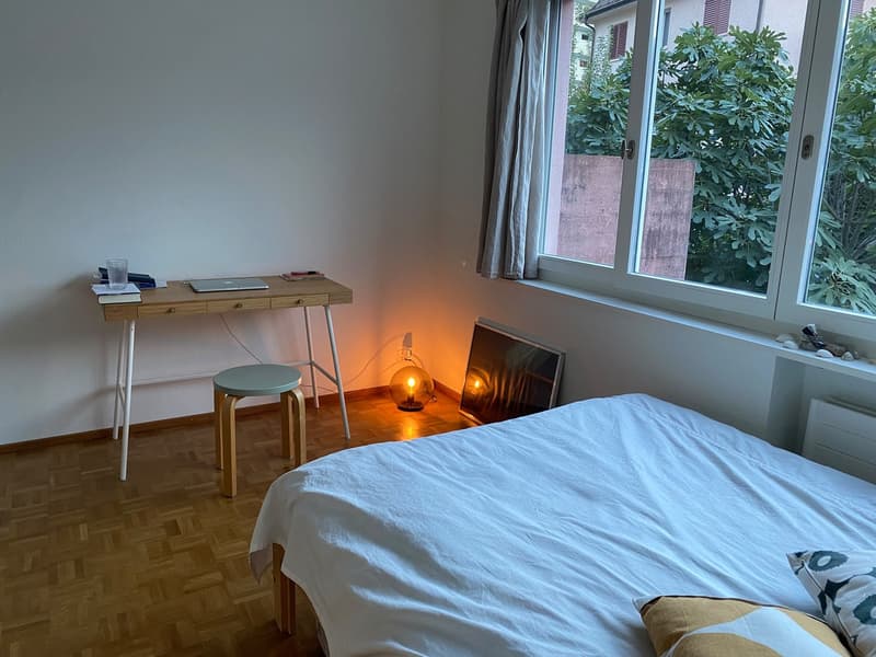 Simple room in central Zürich / (1)