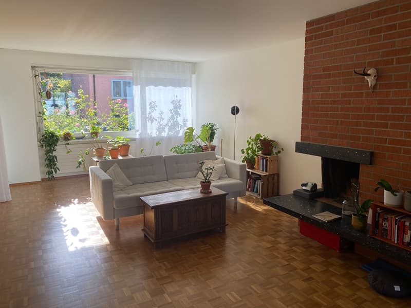 Simple room in central Zürich / (3)