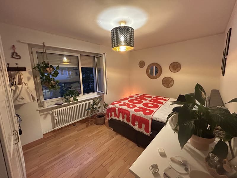 WG-Zimmer Hottingen - Befristet bis Ende März 2027 (1)