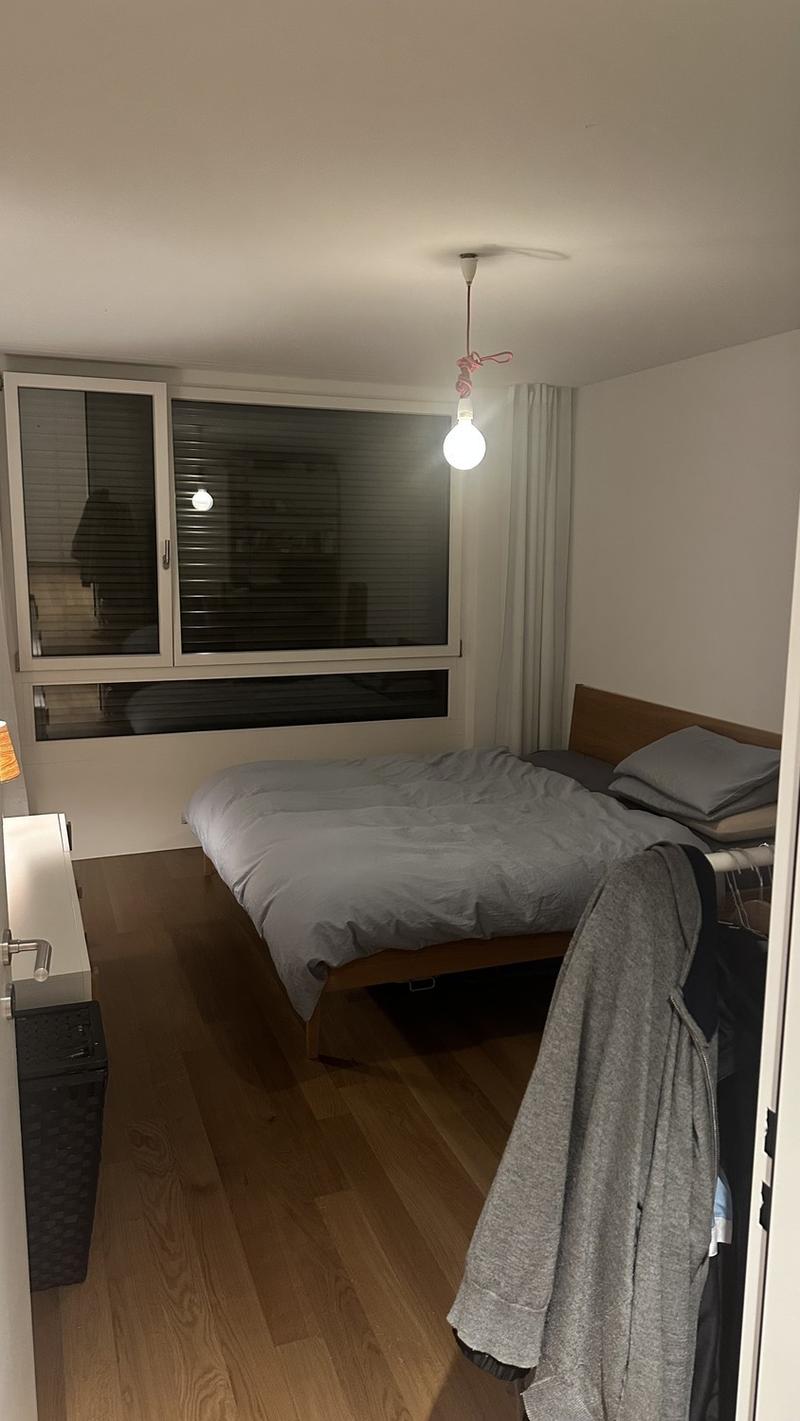Zürich Wiedikon K3  December & January (flexible dates, shorter/longer stays welcome). (2)