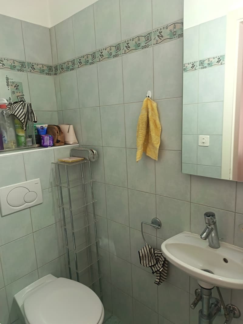2.5-room apartment with balcony in Sierre, from 1 November (12)