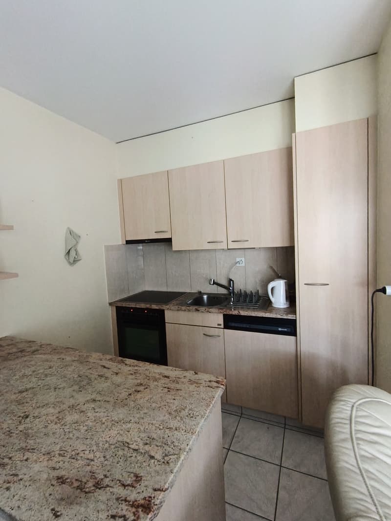 2.5-room apartment with balcony in Sierre, from 1 November (9)