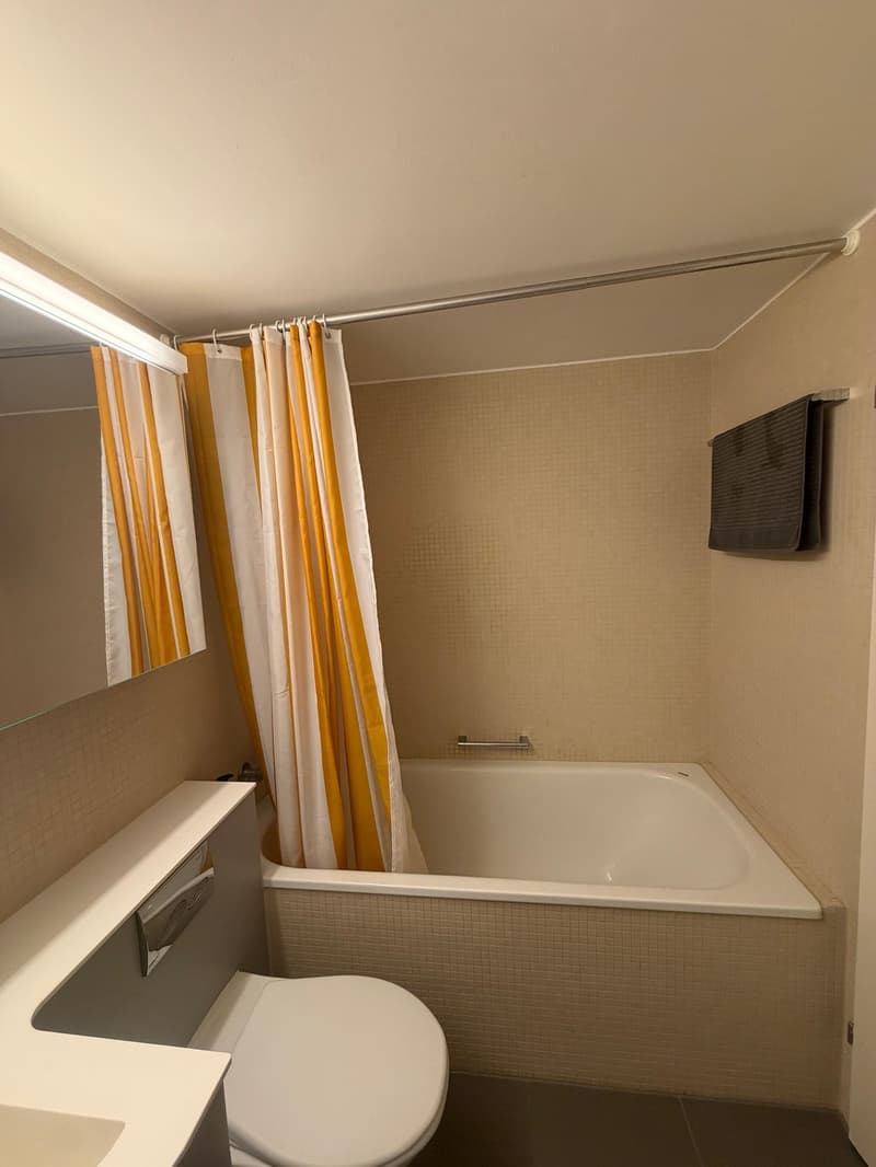 WG-Zimmer in Wiedikon  Brunaupark (2)