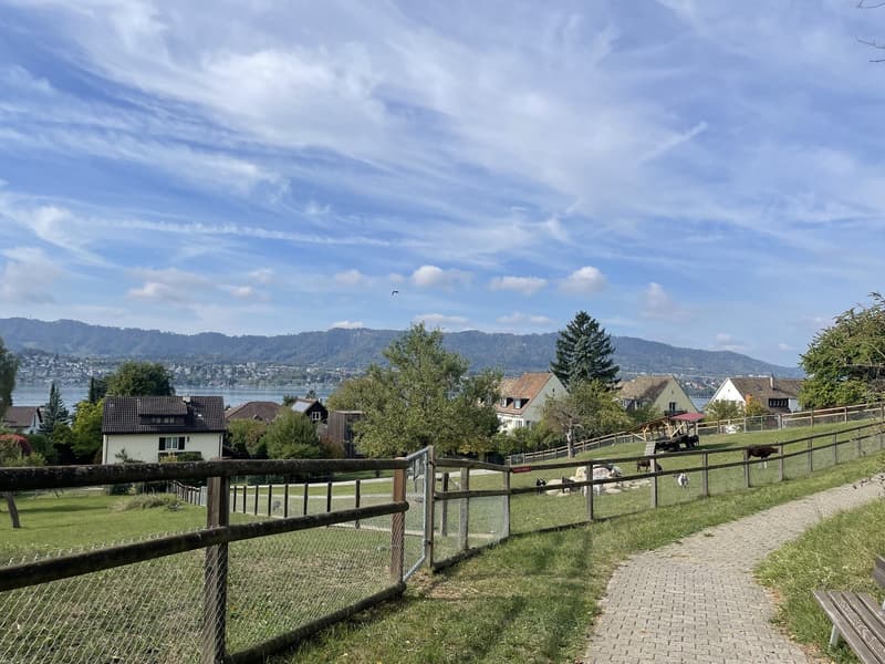 Furnished Private Room in Zollikon CHF 850/month, all utilities included (8)
