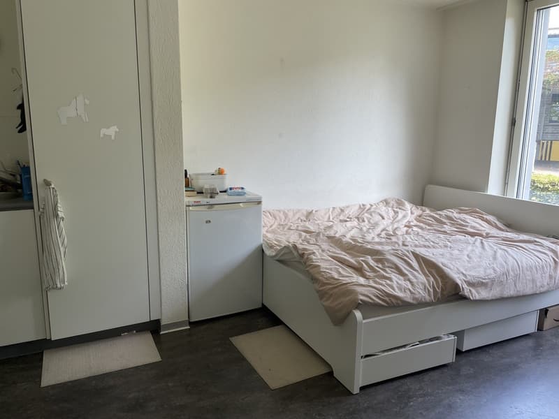 Furnished Private Room in Zollikon CHF 850/month, all utilities included (2)