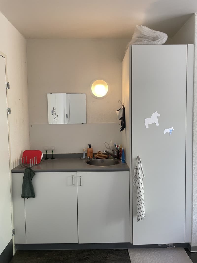 Furnished Private Room in Zollikon CHF 850/month, all utilities included (3)