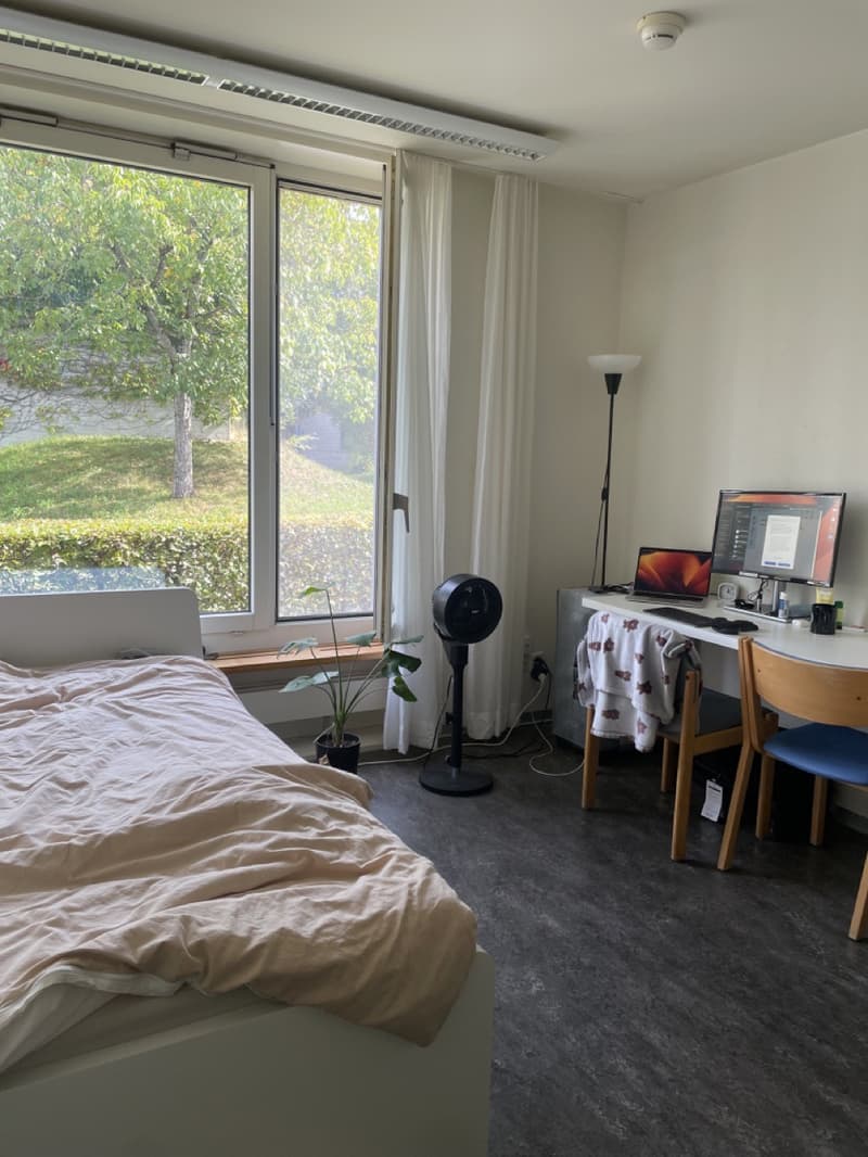 Furnished Private Room in Zollikon CHF 850/month, all utilities included (1)