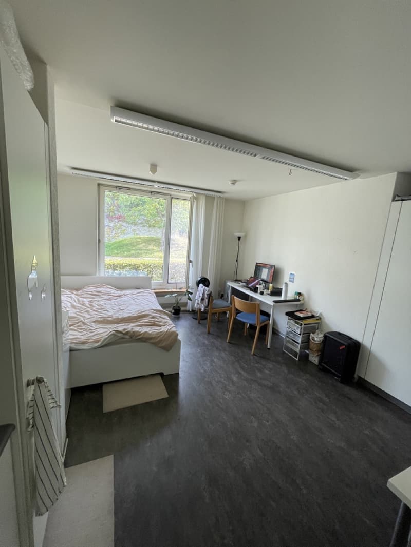 Furnished Private Room in Zollikon CHF 850/month, all utilities included (4)