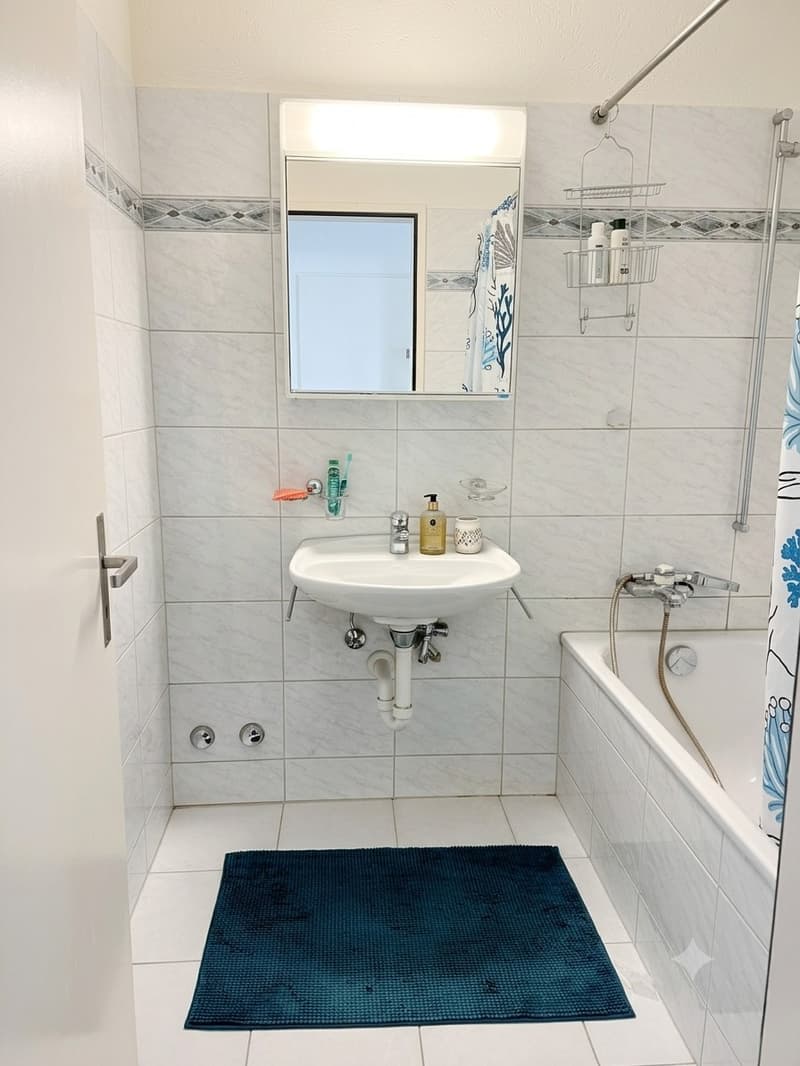 3 ½ rooms apartment, 8050 Zurich (6)