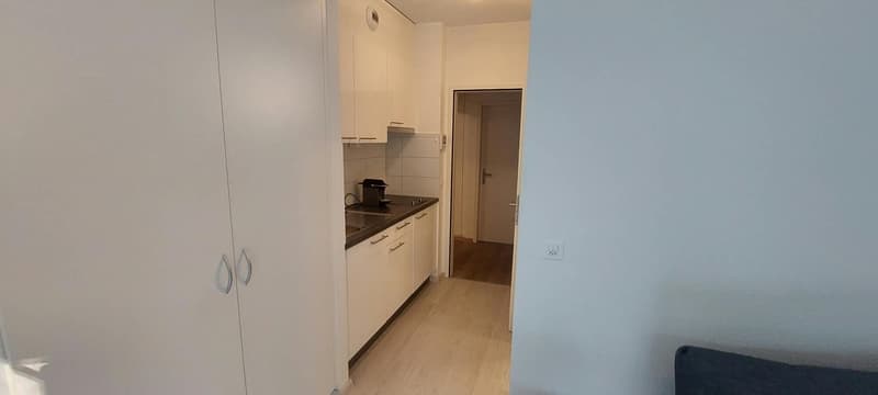 Studio charmant  Emplacement idéal à Genève (3)