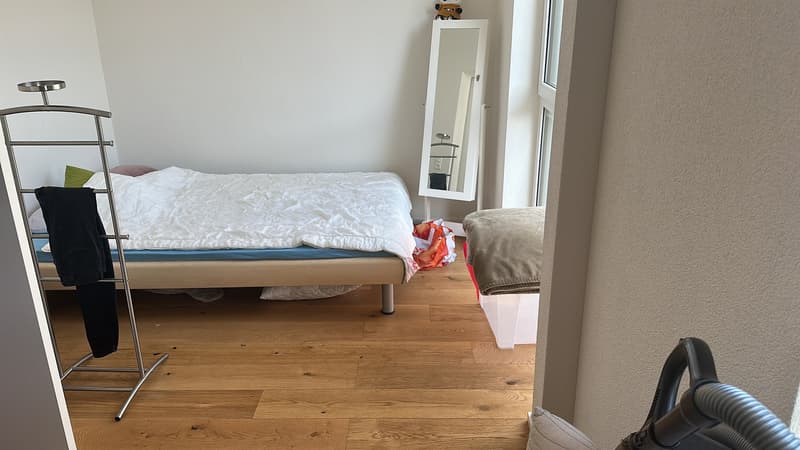 Per 1. November 2026 wird diese schöne und grosszügige 2-Zimmer-Wohnung in 6014 Luzern frei. (7)
