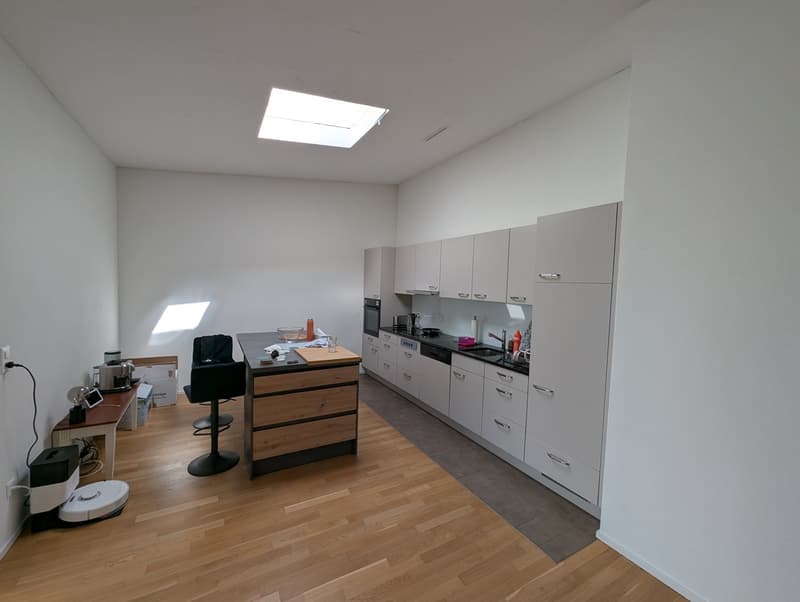 Helle 3.5-Zimmer-Attikawohnung in Zürich nahe Einkaufszentrum Letzipark / Bright 3.5 Penthouse near Letzipark Shopping Center (3)