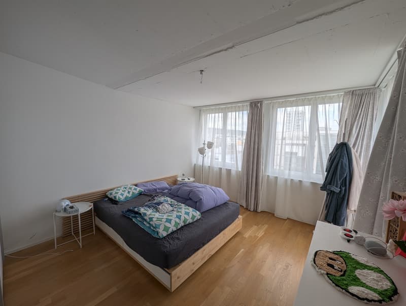 Helle 3.5-Zimmer-Attikawohnung in Zürich nahe Einkaufszentrum Letzipark / Bright 3.5 Penthouse near Letzipark Shopping Center (4)
