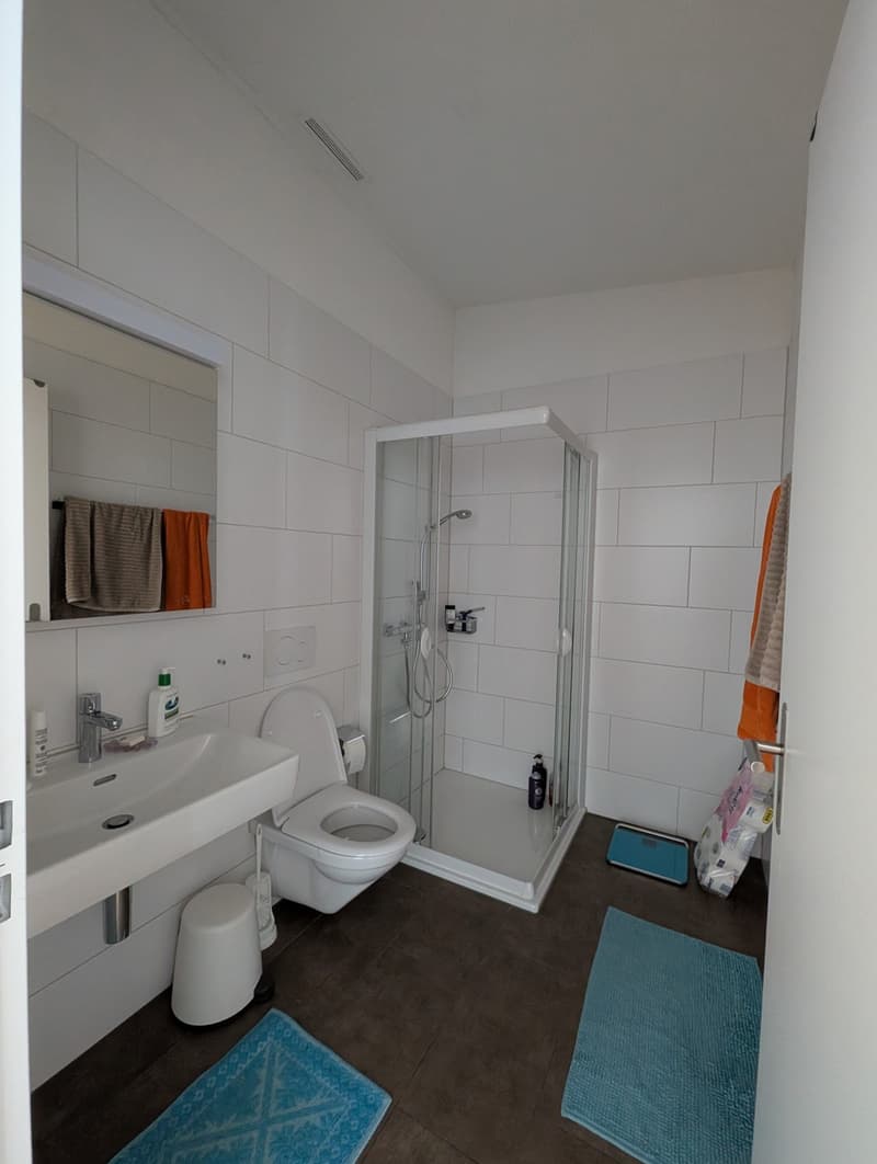 Helle 3.5-Zimmer-Attikawohnung in Zürich nahe Einkaufszentrum Letzipark / Bright 3.5 Penthouse near Letzipark Shopping Center (6)