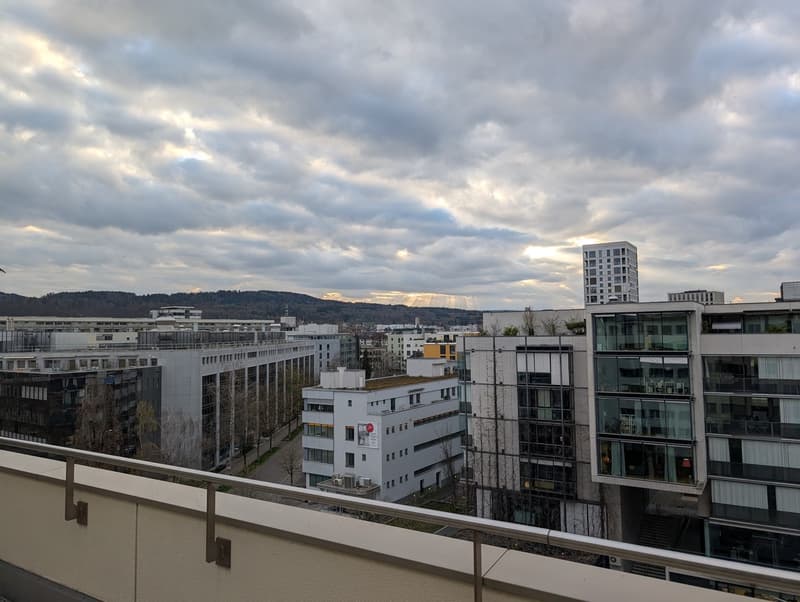 Helle 3.5-Zimmer-Attikawohnung in Zürich nahe Einkaufszentrum Letzipark / Bright 3.5 Penthouse near Letzipark Shopping Center (8)