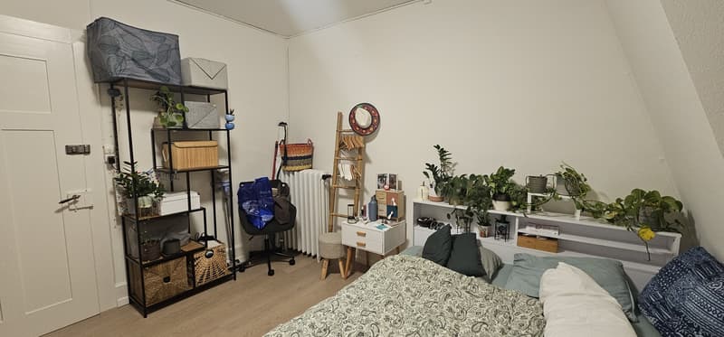 Room in a shared flat (8)