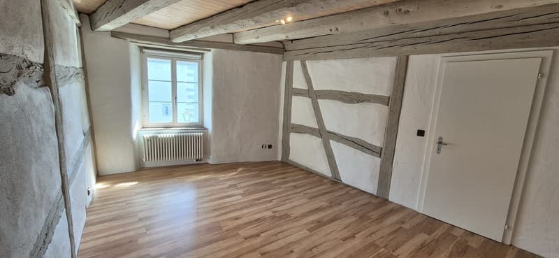 Traumhafte Wohnung in der Altstadt von Stein am Rhein (1)