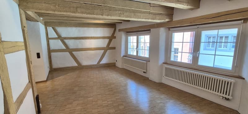 Traumhafte Wohnung in der Altstadt von Stein am Rhein (3)