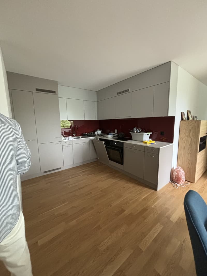 Moderne 2 1/2 Zimmerwohnung in Reinach (1)