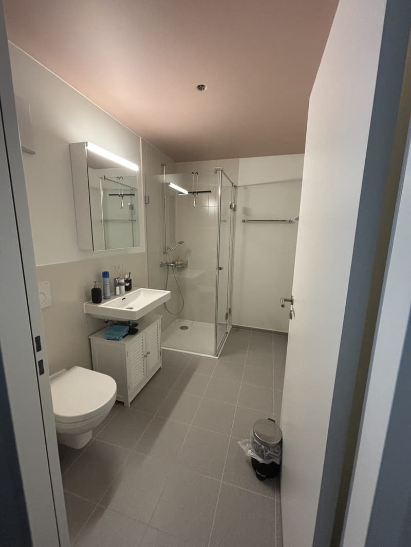 Moderne 2 1/2 Zimmerwohnung in Reinach (3)