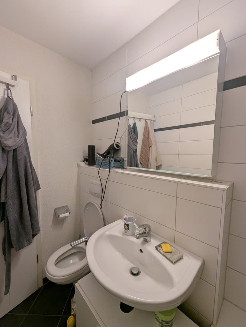 Helle 2.5-Zimmer-Wohnung mit Balkon  Wiedikon, Kreis 3 (4)