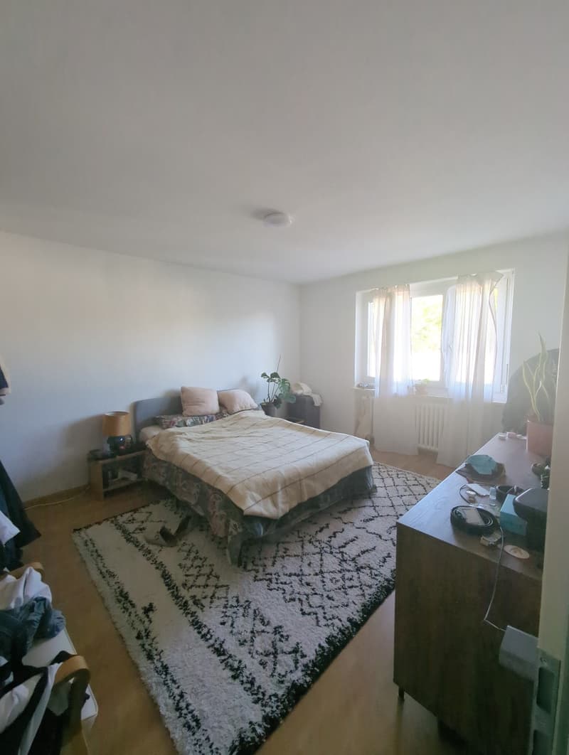 Helle 2.5-Zimmer-Wohnung mit Balkon  Wiedikon, Kreis 3 (2)