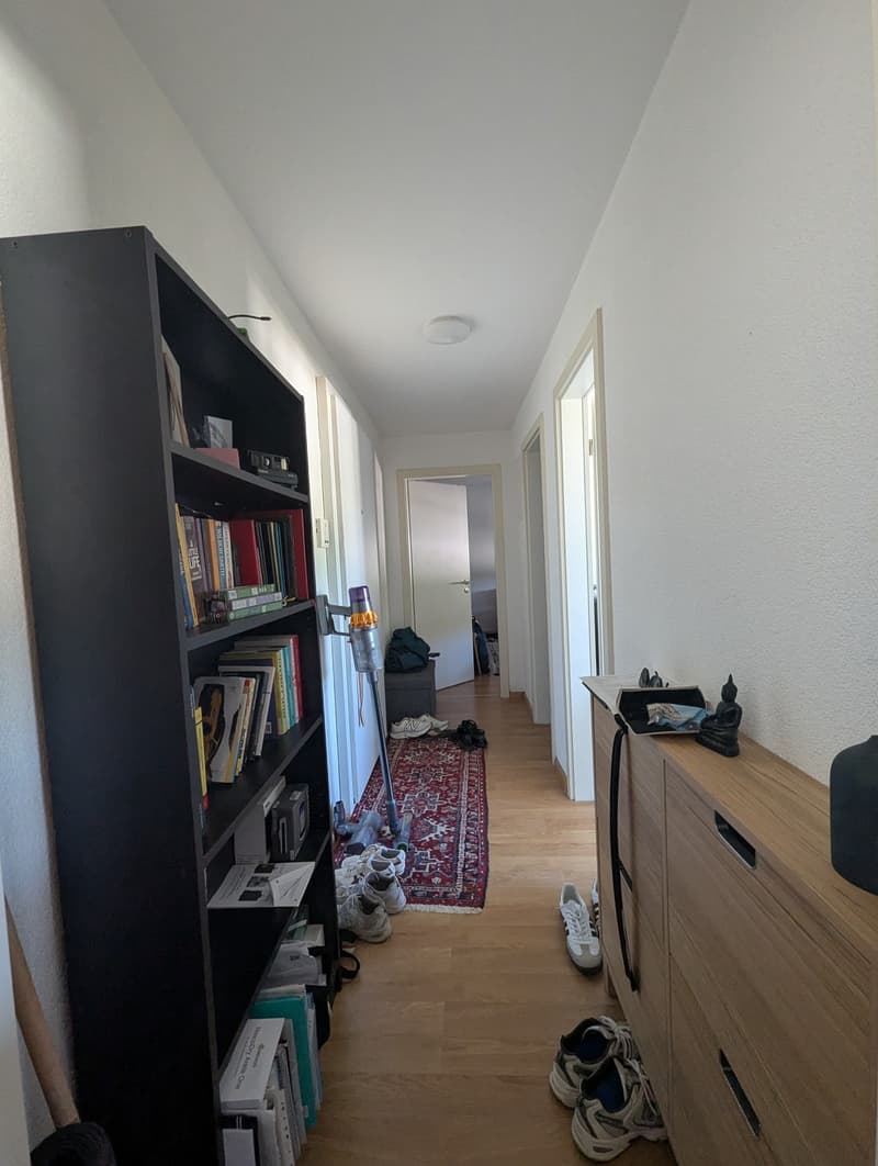 Helle 2.5-Zimmer-Wohnung mit Balkon  Wiedikon, Kreis 3 (6)