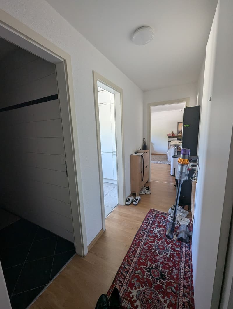 Helle 2.5-Zimmer-Wohnung mit Balkon  Wiedikon, Kreis 3 (3)