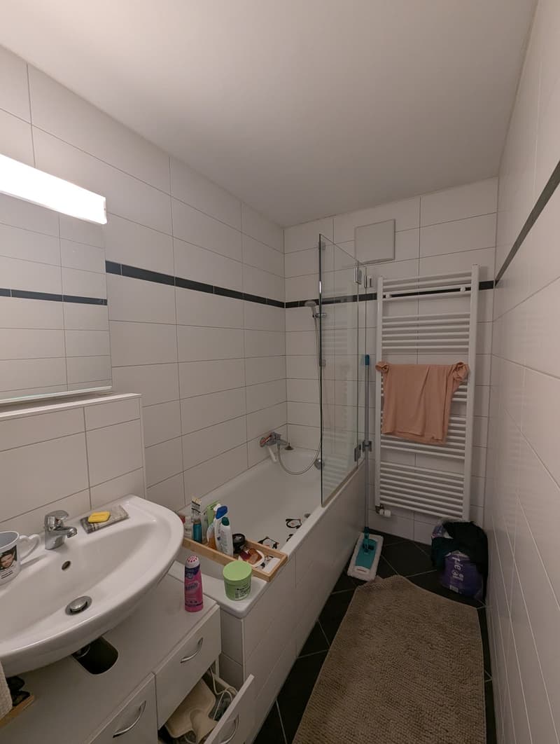 Helle 2.5-Zimmer-Wohnung mit Balkon  Wiedikon, Kreis 3 (5)