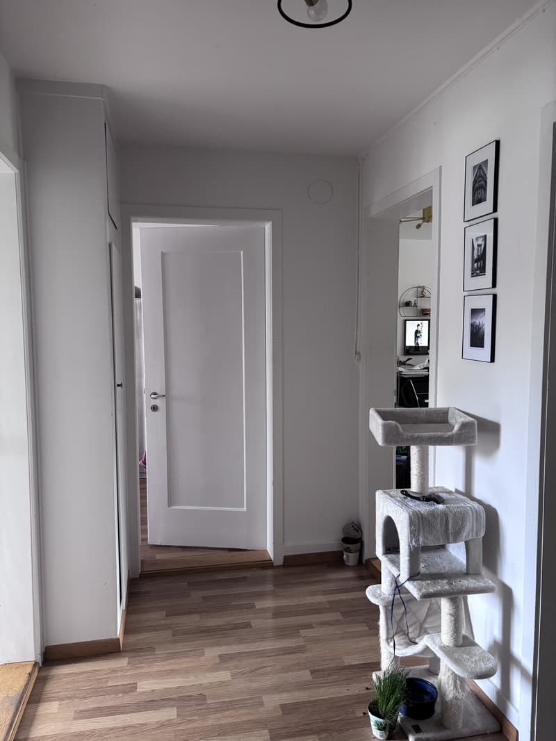 3 Zimmer-Wohnung, 3008 Bern (7)