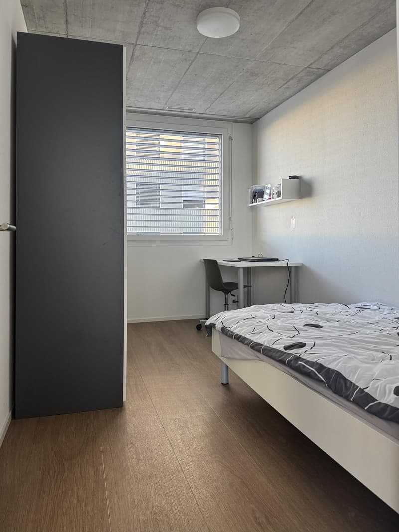 CHAMBRE À SOUS-LOUER FRIBOURG (3)