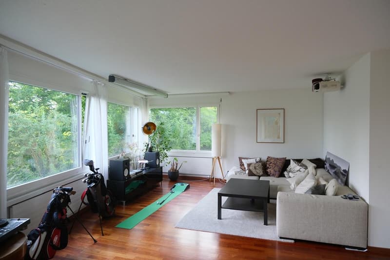 Schönes 13 m² Zimmer in 110 m²-WG am Zürichberg - befristet unterzumieten (1)