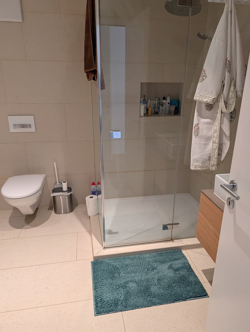 Helle 3.5-Zimmer-Wohnung mit Balkon & eigenem Waschturm, nahe See (8)
