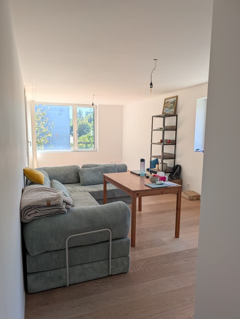 Helle 3.5-Zimmer-Wohnung mit Balkon & eigenem Waschturm, nahe See (12)