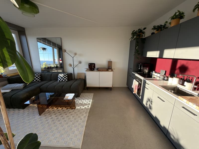 2-room apartment on the 24th floor (3)