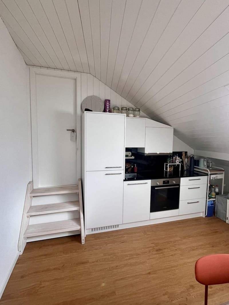 Charmante 2.5 Zimmer Dachwohnung (3)