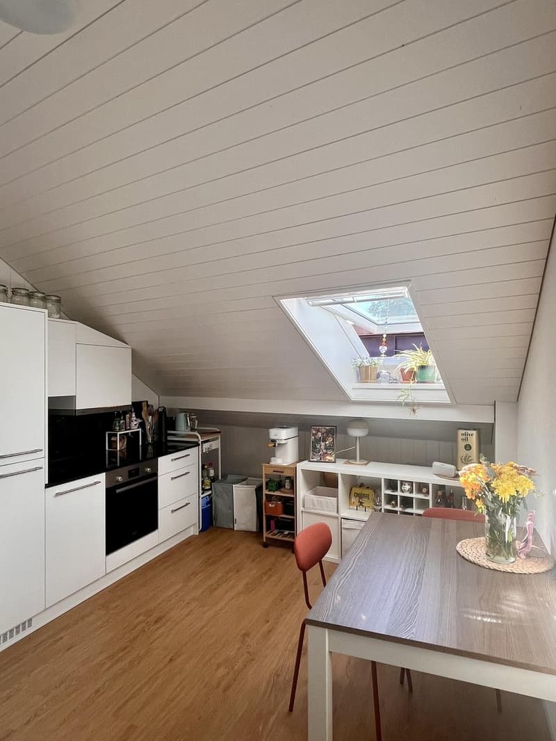 Charmante 2.5 Zimmer Dachwohnung (2)