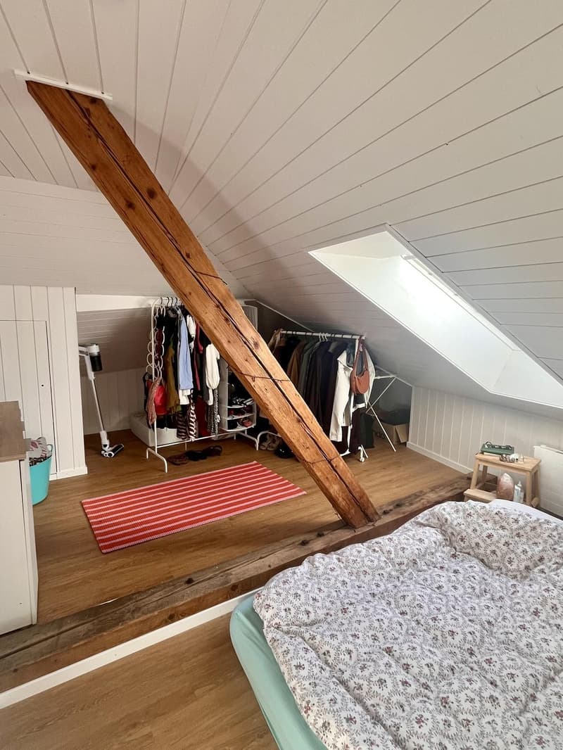 Charmante 2.5 Zimmer Dachwohnung (4)