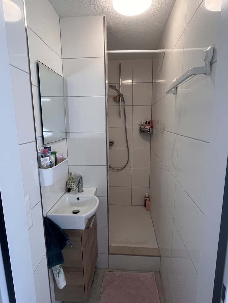 Charmante 2.5 Zimmer Dachwohnung (5)