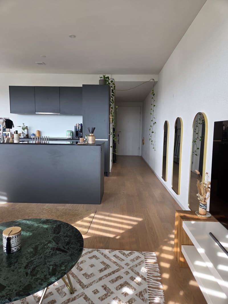 Modern & Ready to live: 2.5-Zimmer-Wohnung Nähe Zurich in Spreitenbach zur Untermiete / for sublet (8)