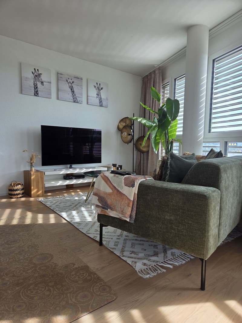 Modern & Ready to live: 2.5-Zimmer-Wohnung Nähe Zurich in Spreitenbach zur Untermiete / for sublet (4)