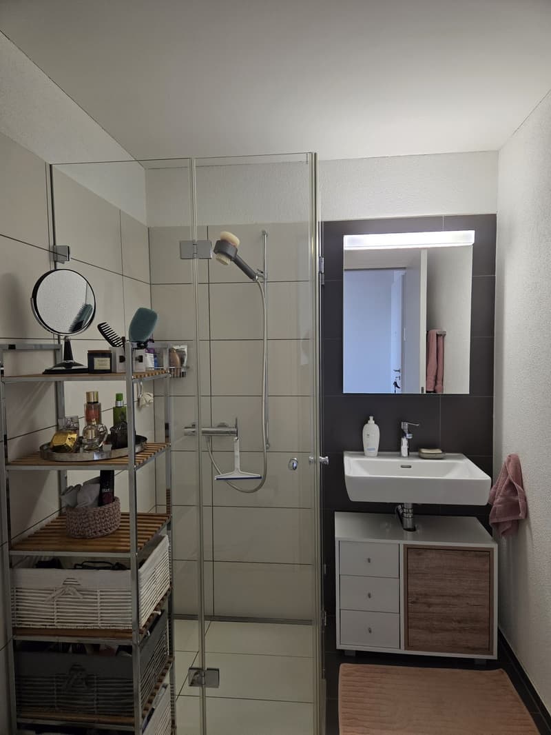 Modern & Ready to live: 2.5-Zimmer-Wohnung Nähe Zurich in Spreitenbach zur Untermiete / for sublet (11)